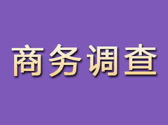 吴川商务调查